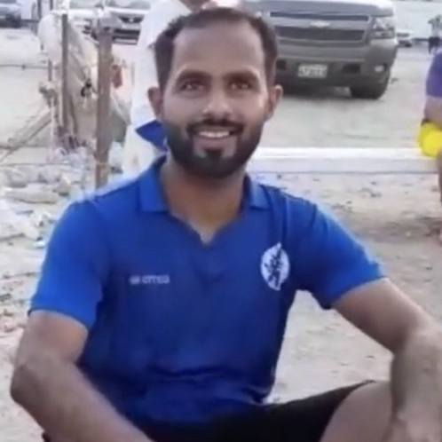 محمود حبيب
